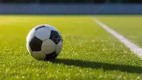 《澳职焦点！麦克阿瑟铁卫王者归来，主力中卫重磅回归战报揭晓》